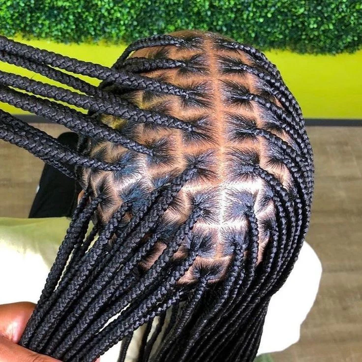Medium Knotless Braids in virginia beach